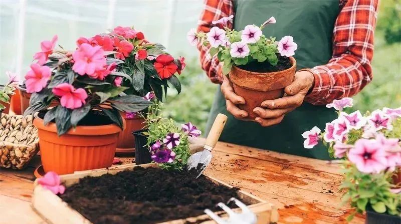 几种不起眼的小生意,在农村有人年赚一百万
