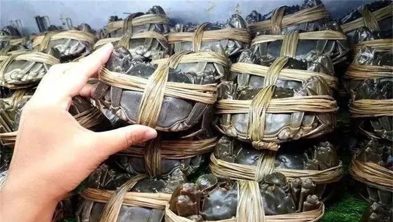 几种不起眼的小生意,在农村有人年赚一百万